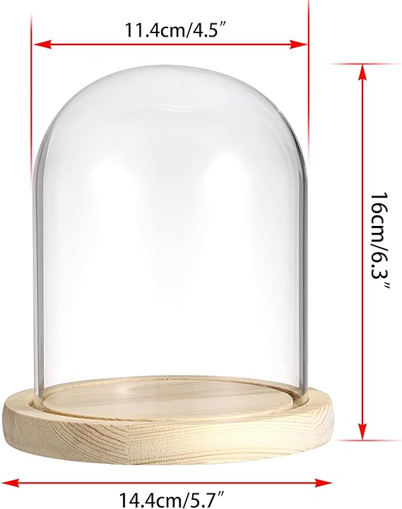 JUXYES Glass Display Dome Cloche