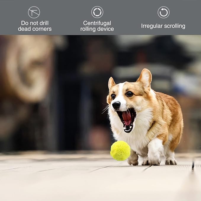 Active Rolling Ball for Dogs