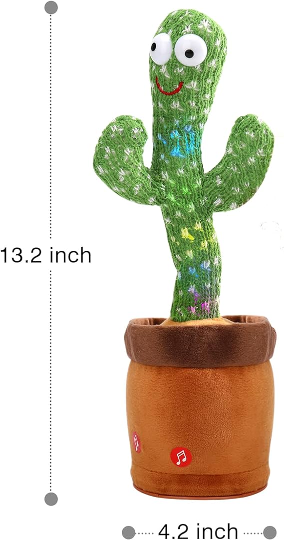 Baby Dancing Cactus