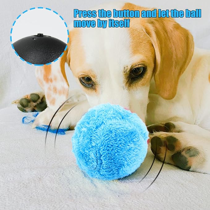 Active Rolling Ball for Dogs