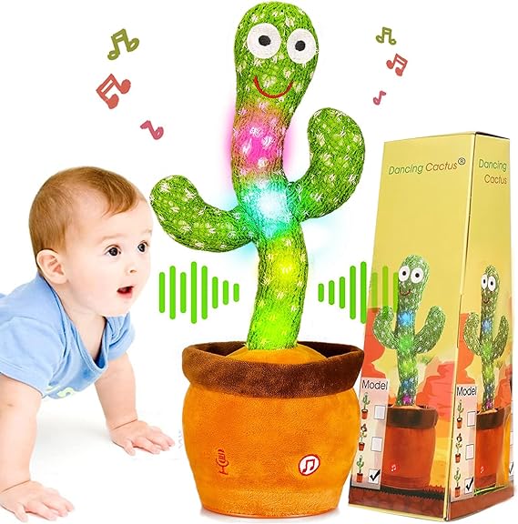 Baby Dancing Cactus