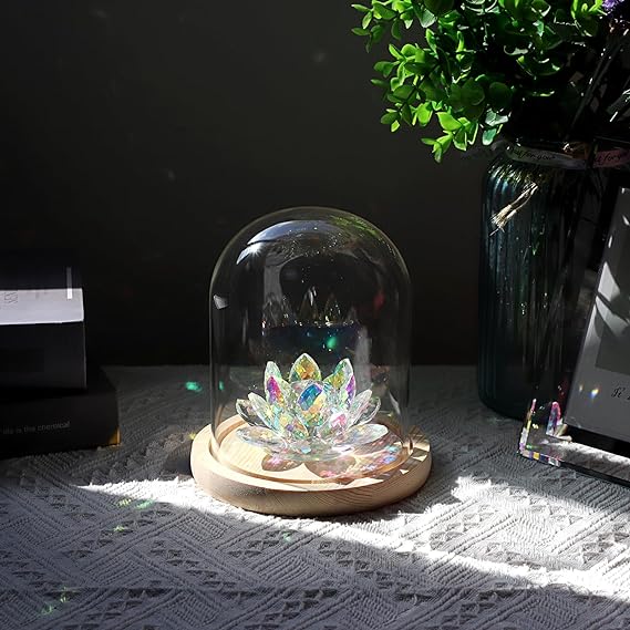 JUXYES Glass Display Dome Cloche